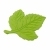 figuras hoja life